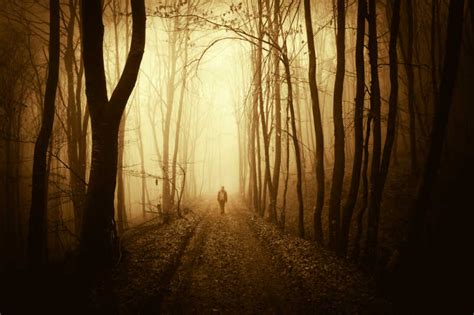 一个人走在林间小路上的唯美句子