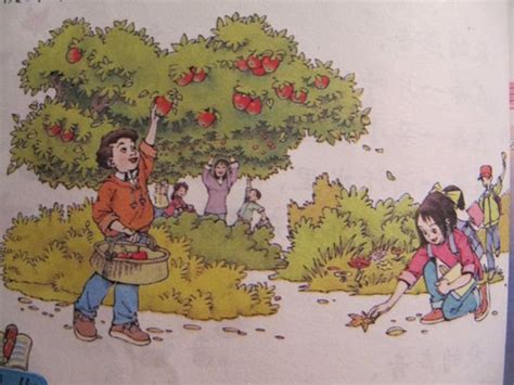 一年级看图写话苹果园