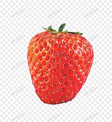 一棵草莓900块