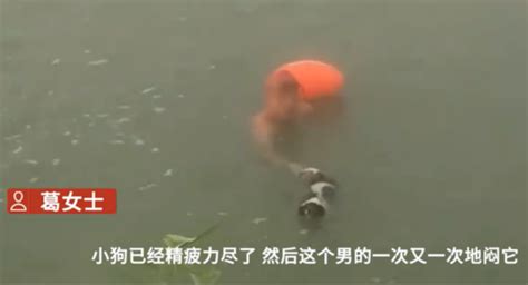 一男子将狗闷在水里致死