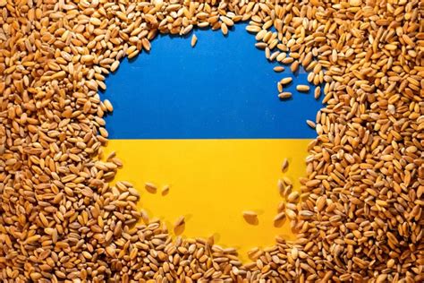 七国集团探讨乌克兰粮食出口