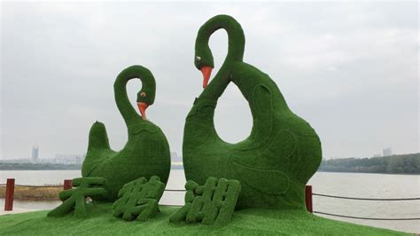 三门峡天鹅湖雕塑