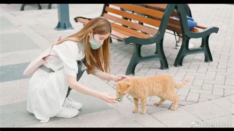 上海一女生喂猫