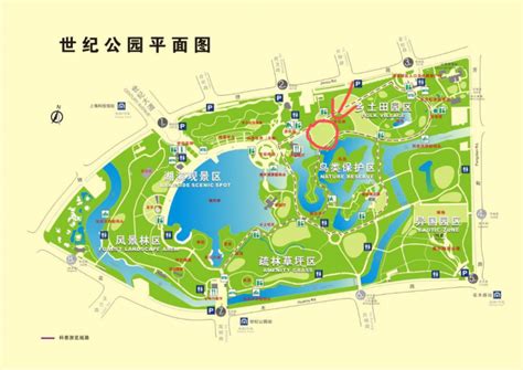 上海世纪公园门票价格