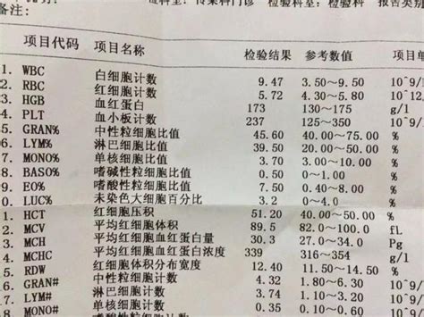 上海人的血检报告单