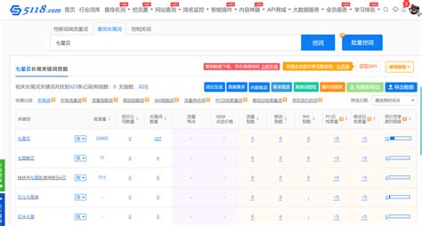 上海关键词排名提升软件