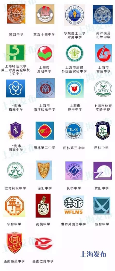上海哪个学校有学seo的