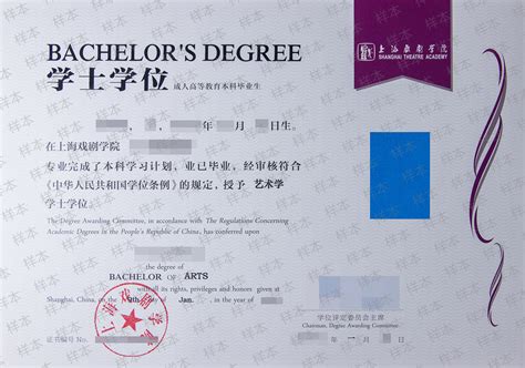 上海国际本科文凭