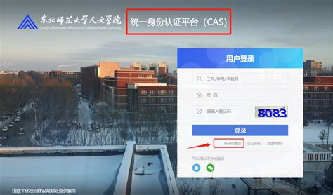 上海外国语大学统一身份认证平台