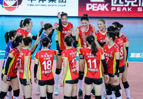 上海女排球队队员名单表