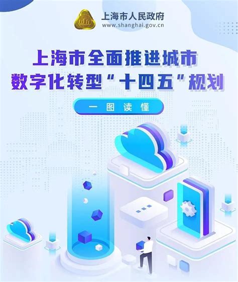 上海市政府推进数字化综合服务