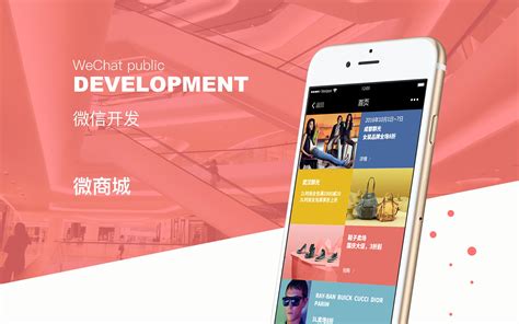 上海微商城网站定制开发