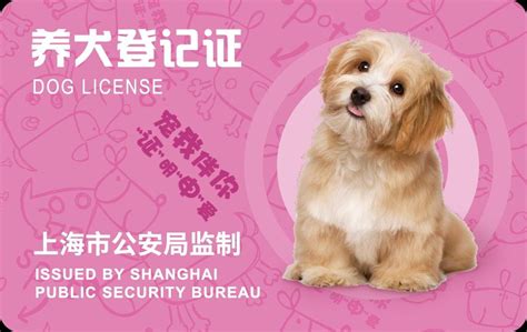 上海狗证办理网站