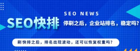 上海知名seo快速排名公司