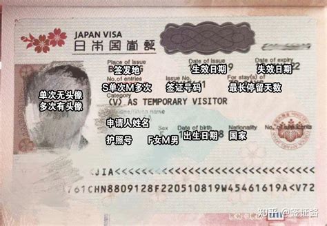 上海签证去哪交材料