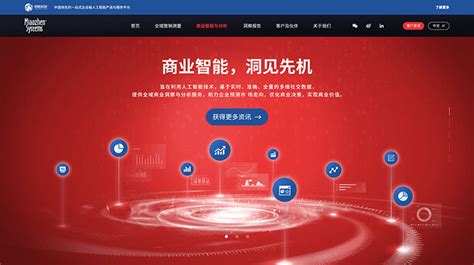 上海网站开发品牌