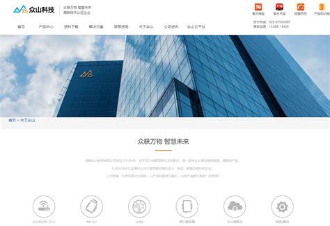 上海网站开发 公司