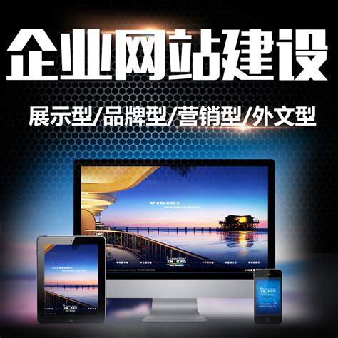 上海网站app开发