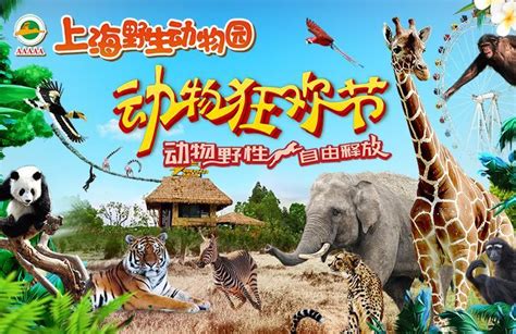 上海野生动物园门票多少钱一张