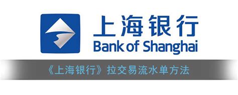 上海银行怎么拉流水
