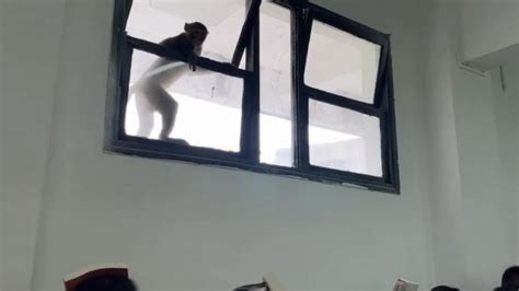 上课时窗户掉下去视频