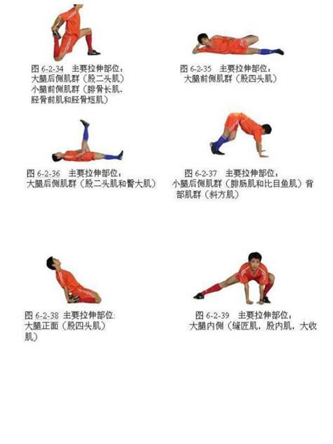 下肢训练15个动作