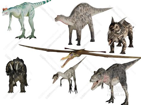 不同的怪异恐龙