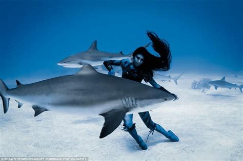 与鲨鱼游泳的女人
