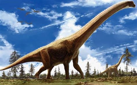 世界上最大的10种恐龙排名视频