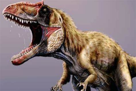 世界上第一厉害的恐龙