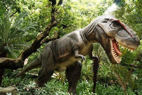 世界上第一只恐龙是怎么诞生的