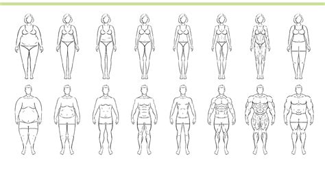世界各国女人体型图谱