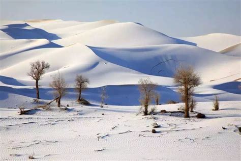 世界最干旱的沙漠下雪