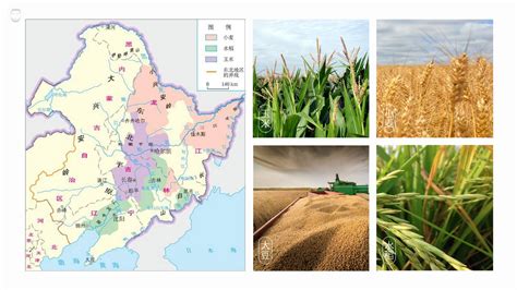 东北三省农业发展的优势是什么