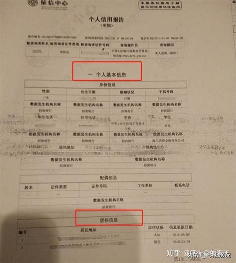 东海县征信报告去什么地方图片