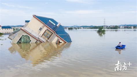 中亭河 洪水 图片