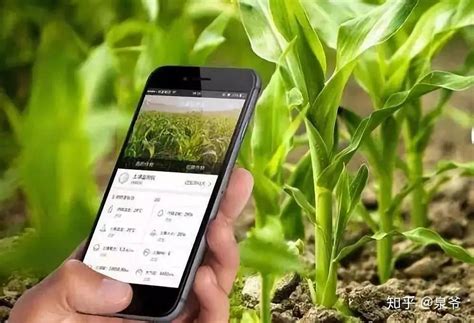 中国农业科技推广app