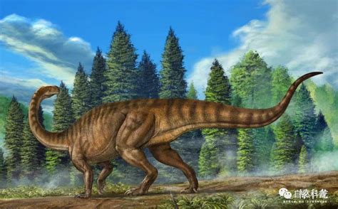 中国发现的第一个恐龙