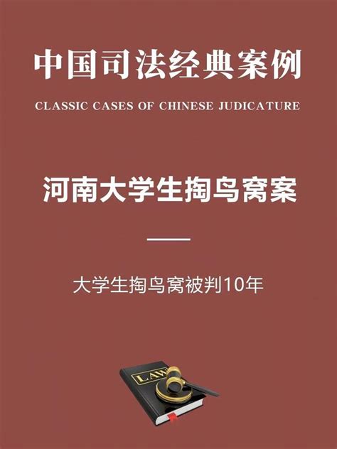 中国司法经典案
