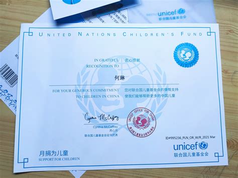 中国国际慈善基金会证书