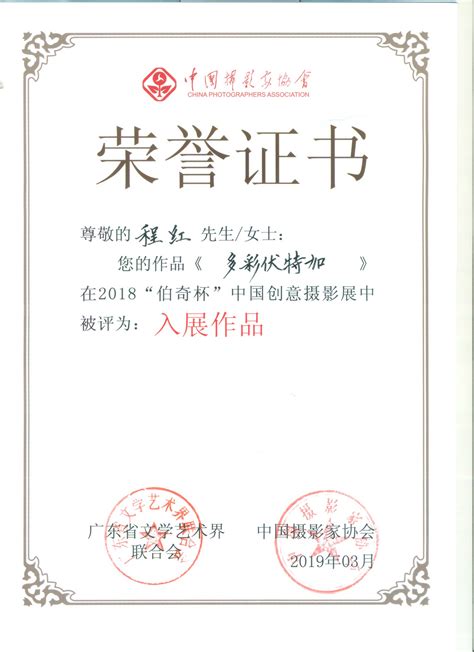 中国摄影学会会员证