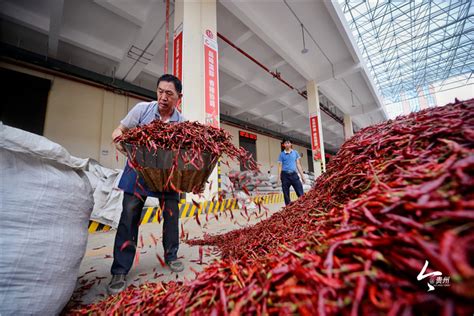 中国最大辣椒交易市场