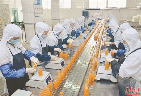 中国果蔬加工企业