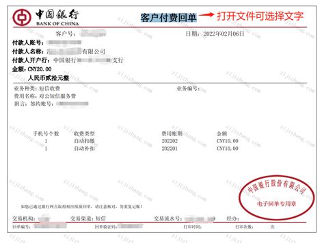 中国民生银行对公账户转账回执单