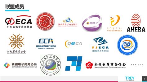 中国电子商务信息服务有限公司