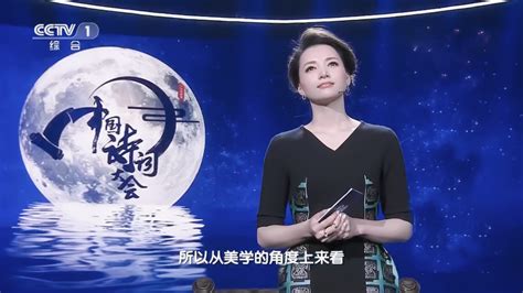 中国诗词大会第一季全集