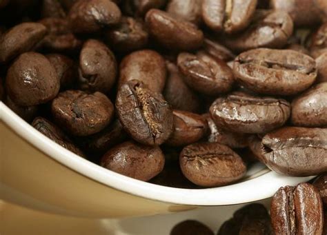 中国进口咖啡豆排行榜