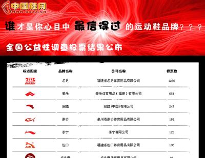 中国鞋网网站优化策划书