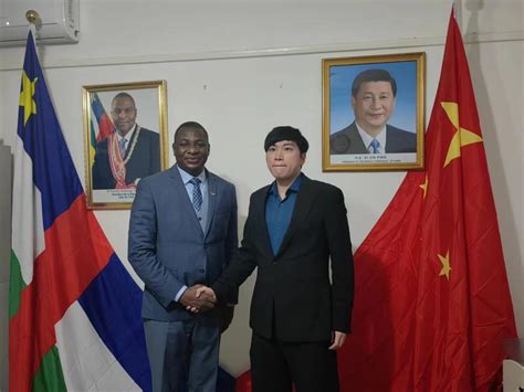 中国驻中非大使提醒中国公民