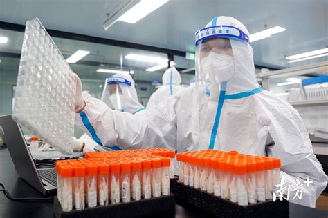 中国 核酸检测企业